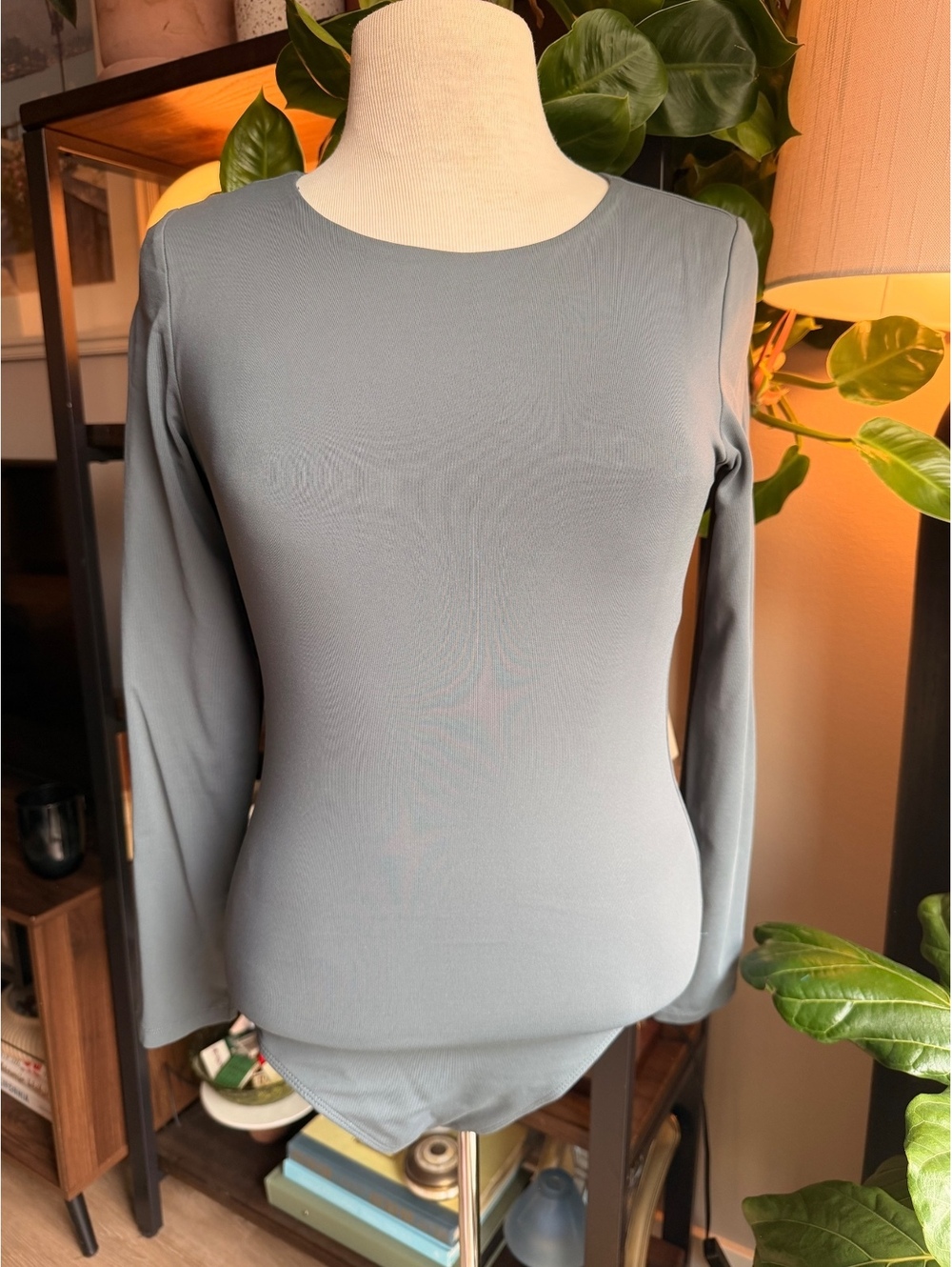 Babaton Long Sleeve Stretch Nylon Bodysuit in Slate Gray, Size Large